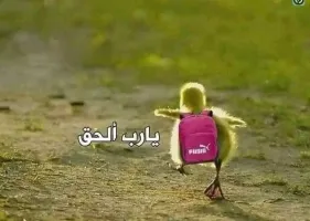 هانم صبحي حسن 