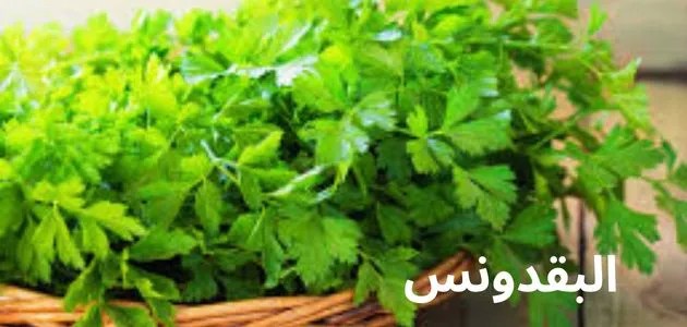 البقدونس؛ تعرف على أقوى النباتات في مكافحة الأمراض والفوائد من تناول هذا النبات