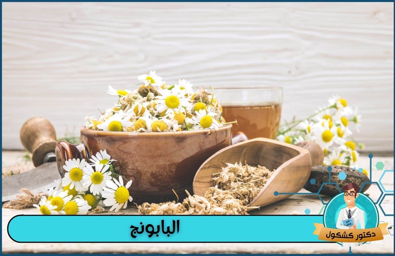 فوائد البابونج الطبية ومخاطر استخداماته 