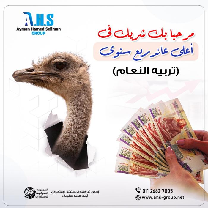استثمار النعام