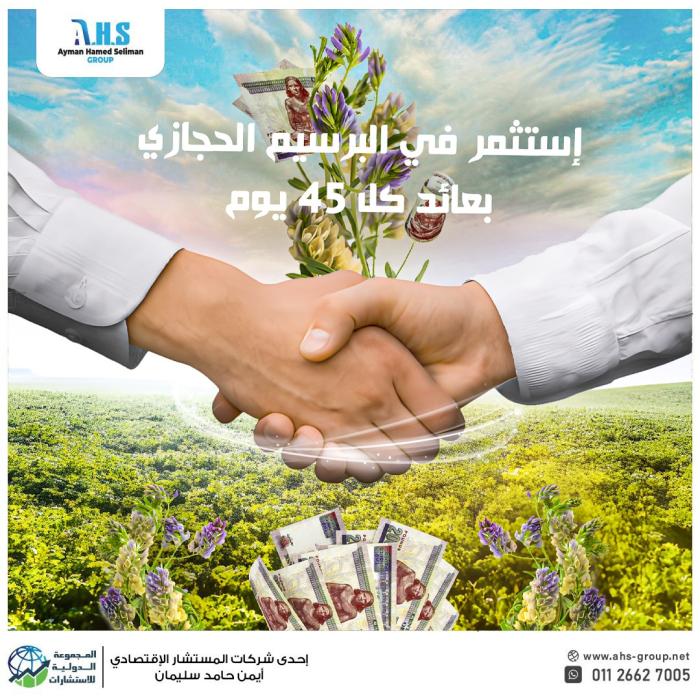 استثمار البرسيم الحجازى