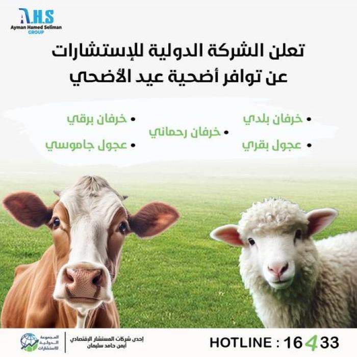اضحية العيد