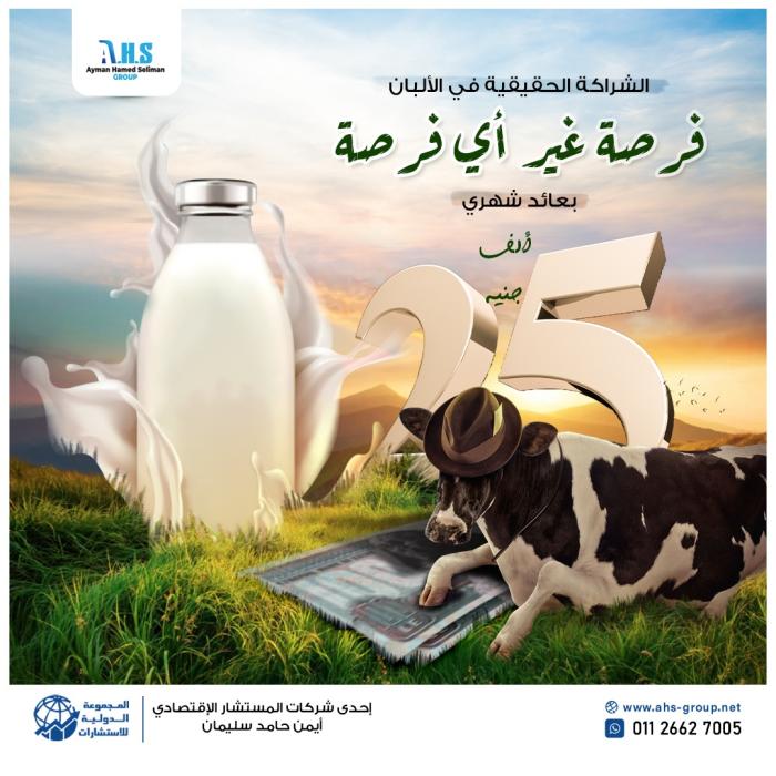 استثمار الالبان