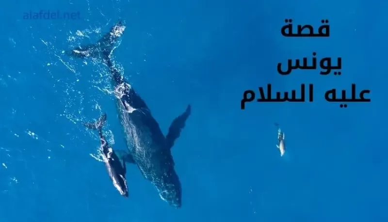 نبي الله يونس عليه السلام؛ النبي المرسل لأهل نينوى صاحب القصة المليئة بالعبر